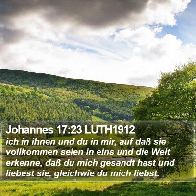 Johannes 17:23 LUTH1912 Bible Verse Image