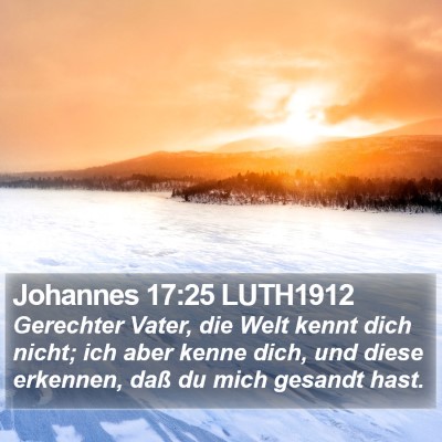 Johannes 17:25 LUTH1912 Bible Verse Image