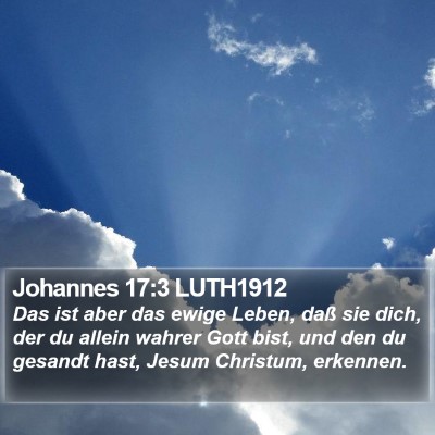 Johannes 17:3 LUTH1912 Bible Verse Image