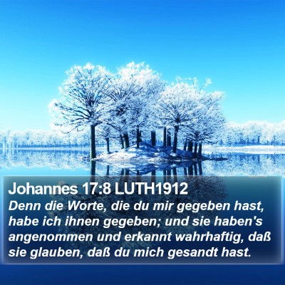 Johannes 17:8 LUTH1912 Bible Verse Image