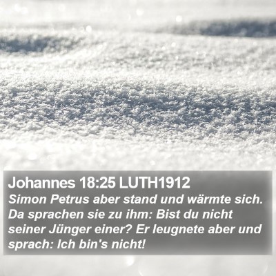 Johannes 18:25 LUTH1912 Bible Verse Image