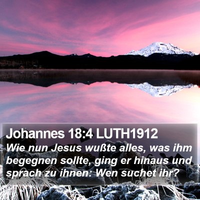 Johannes 18:4 LUTH1912 Bible Verse Image