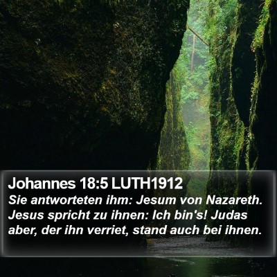 Johannes 18:5 LUTH1912 Bible Verse Image