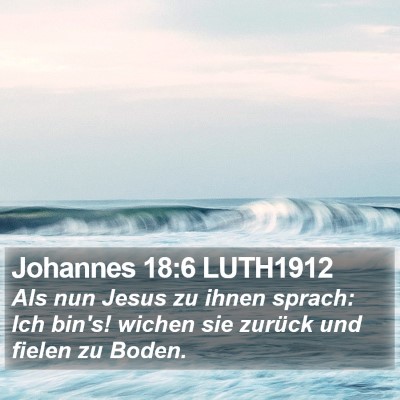 Johannes 18:6 LUTH1912 Bible Verse Image