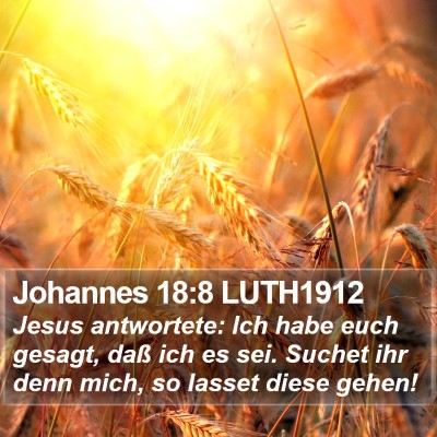 Johannes 18:8 LUTH1912 Bible Verse Image