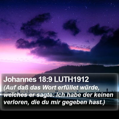 Johannes 18:9 LUTH1912 Bible Verse Image