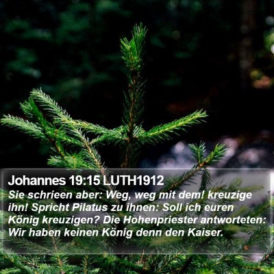 Johannes 19:15 LUTH1912 Bible Verse Image