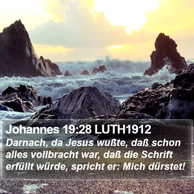 Johannes 19:28 LUTH1912 Bible Verse Image