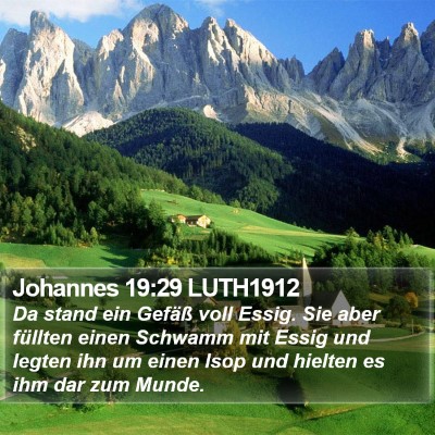 Johannes 19:29 LUTH1912 Bible Verse Image