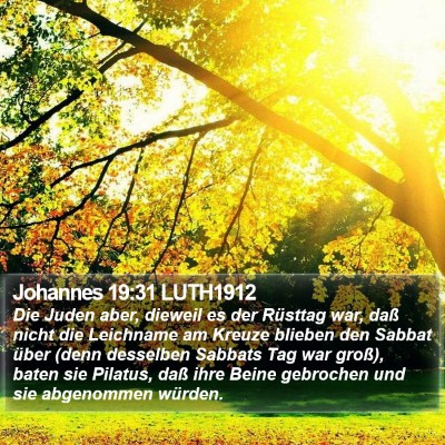 Johannes 19:31 LUTH1912 Bible Verse Image