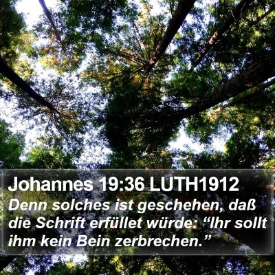 Johannes 19:36 LUTH1912 Bible Verse Image