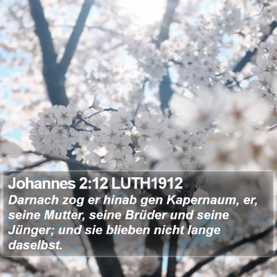 Johannes 2:12 LUTH1912 Bible Verse Image
