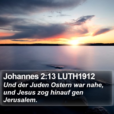 Johannes 2:13 LUTH1912 Bible Verse Image