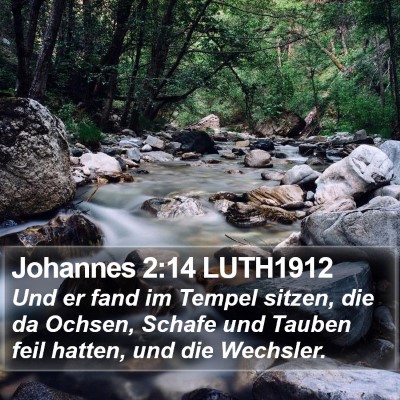 Johannes 2:14 LUTH1912 Bible Verse Image