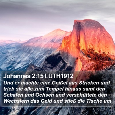 Johannes 2:15 LUTH1912 Bible Verse Image