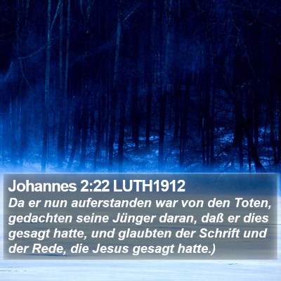 Johannes 2:22 LUTH1912 Bible Verse Image