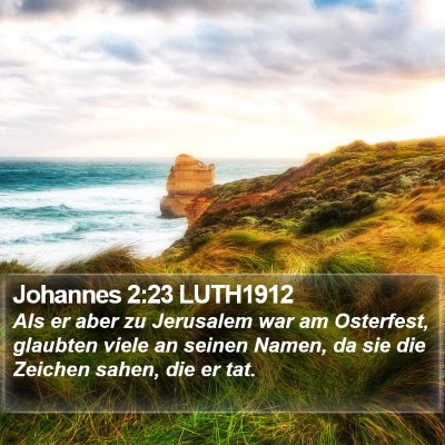 Johannes 2:23 LUTH1912 Bible Verse Image