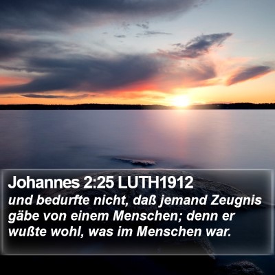 Johannes 2:25 LUTH1912 Bible Verse Image