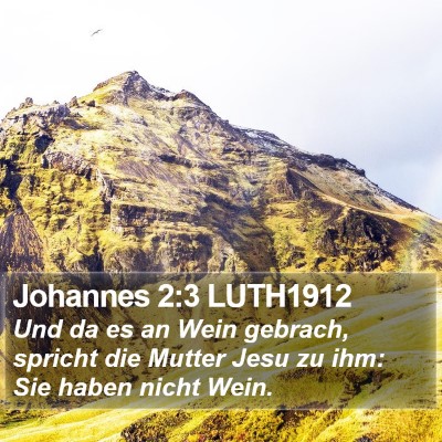 Johannes 2:3 LUTH1912 Bible Verse Image