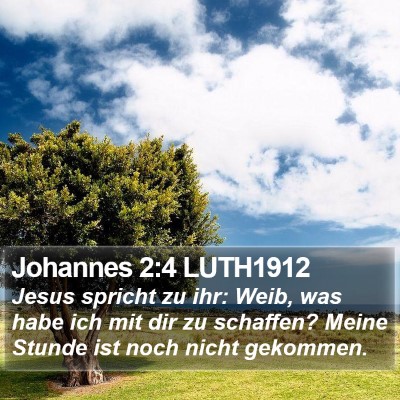 Johannes 2:4 LUTH1912 Bible Verse Image