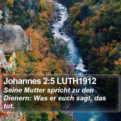 Johannes 2:5 LUTH1912 Bible Verse Image
