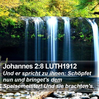 Johannes 2:8 LUTH1912 Bible Verse Image