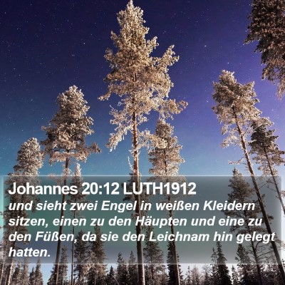 Johannes 20:12 LUTH1912 Bible Verse Image