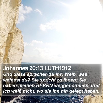 Johannes 20:13 LUTH1912 Bible Verse Image