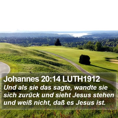 Johannes 20:14 LUTH1912 Bible Verse Image