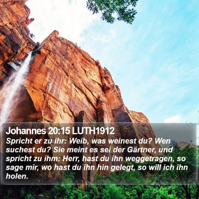 Johannes 20:15 LUTH1912 Bible Verse Image