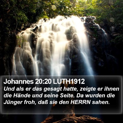 Johannes 20:20 LUTH1912 Bible Verse Image