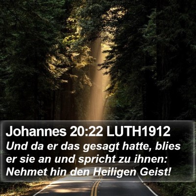 Johannes 20:22 LUTH1912 Bible Verse Image