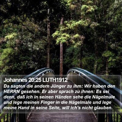 Johannes 20:25 LUTH1912 Bible Verse Image