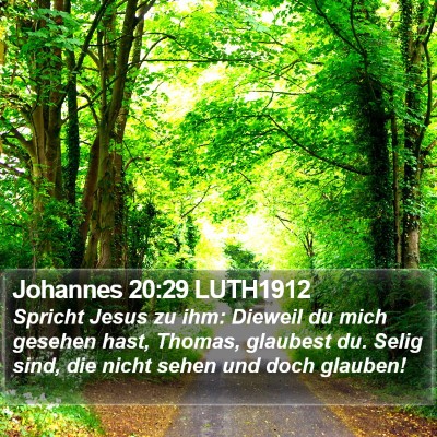 Johannes 20:29 LUTH1912 Bible Verse Image