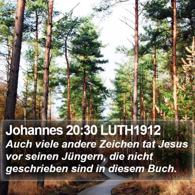 Johannes 20:30 LUTH1912 Bible Verse Image