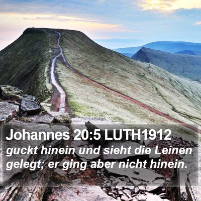 Johannes 20:5 LUTH1912 Bible Verse Image