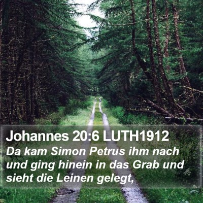 Johannes 20:6 LUTH1912 Bible Verse Image