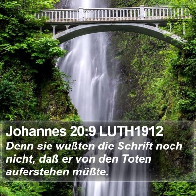 Johannes 20:9 LUTH1912 Bible Verse Image