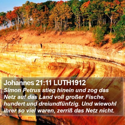 Johannes 21:11 LUTH1912 Bible Verse Image
