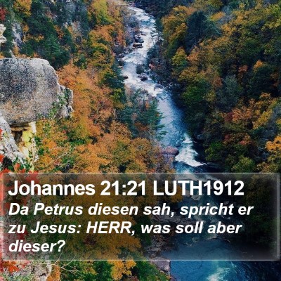 Johannes 21:21 LUTH1912 Bible Verse Image