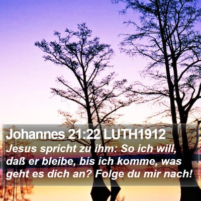 Johannes 21:22 LUTH1912 Bible Verse Image