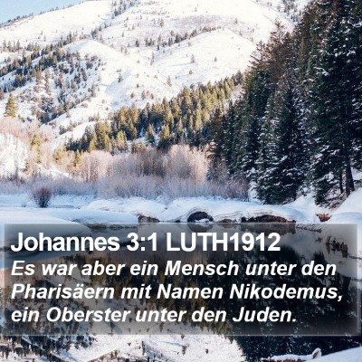 Johannes 3:1 LUTH1912 Bible Verse Image