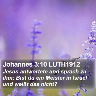 Johannes 3:10 LUTH1912 Bible Verse Image