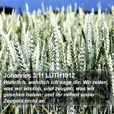 Johannes 3:11 LUTH1912 Bible Verse Image