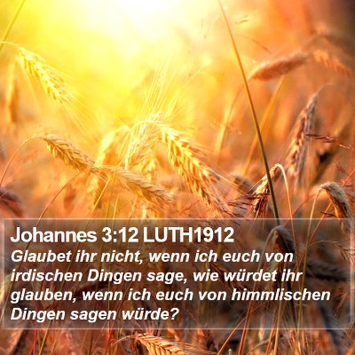 Johannes 3:12 LUTH1912 Bible Verse Image