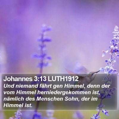Johannes 3:13 LUTH1912 Bible Verse Image