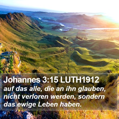 Johannes 3:15 LUTH1912 Bible Verse Image
