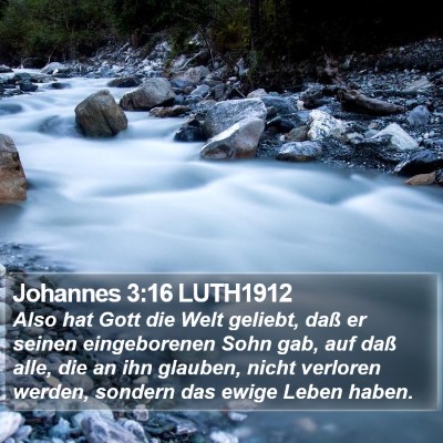 Johannes 3:16 LUTH1912 Bible Verse Image