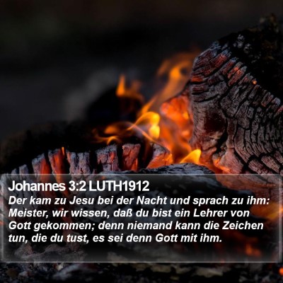 Johannes 3:2 LUTH1912 Bible Verse Image