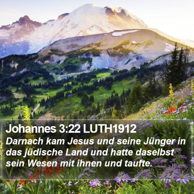 Johannes 3:22 LUTH1912 Bible Verse Image